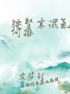 腰肾寒湿气重如何排