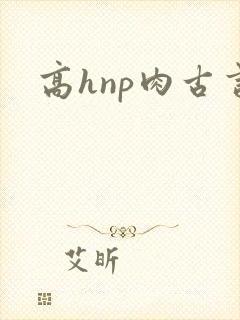 高hnp肉古言