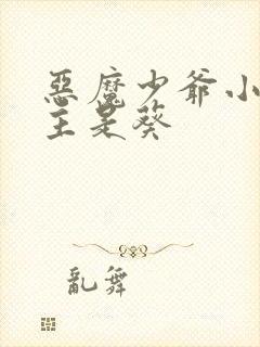 恶魔少爷小说女主是葵