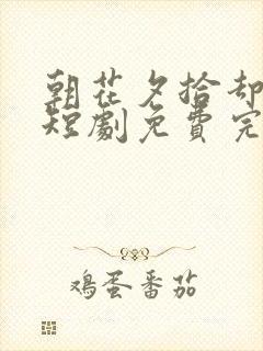 朝花夕拾却已迟短剧免费完整版