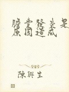 胆囊发炎是什么原因造成