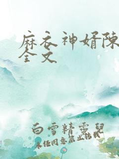 麻衣神婿陈黄皮全文