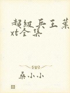 超级兵王叶谦txt全集