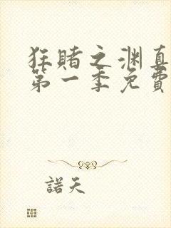 狂赌之渊真人版第一季免费观看