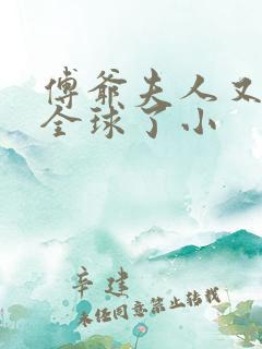 傅爷夫人又惊艳全球了小