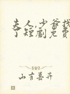 夫人,少爷找到了短剧免费观看