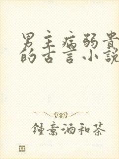 男主病弱贵公子的古言小说