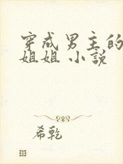 穿成男主的反派姐姐 小说