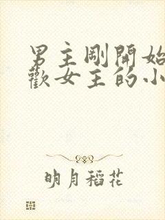 男主刚开始不喜欢女主的小说