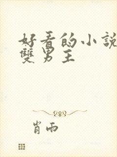 好看的小说推荐双男主