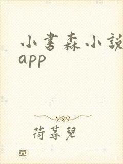 小书森小说软件app