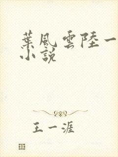 叶风云陆一曼的小说