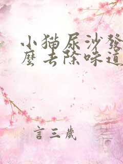 小猫尿沙发上怎么去除味道