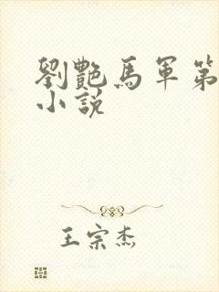 刘艳马军第九部小说