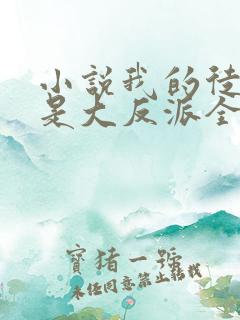 小说我的徒弟都是大反派全文阅读