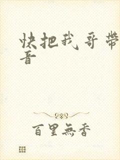 快把我哥带走配音