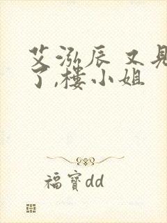 艾泓辰 又见面了,楼小姐