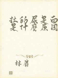 拉的尿是白色的是什么原因