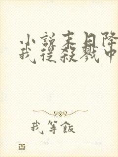 小说末日降临,我从杀戮中崛起林枫