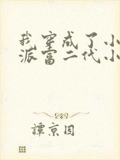 我穿成了小说反派富二代小说