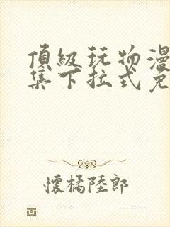 顶级玩物漫画全集下拉式免费观看