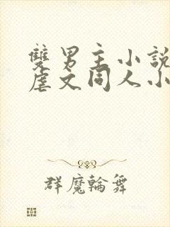 双男主小说推荐虐文同人小说完结