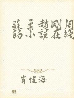 苏柔赵刚周明权的小说在线阅读全文最新