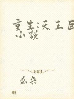 重生:天王巨星 小说