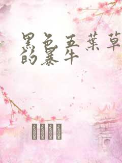 黑色五叶草黑色的暴牛