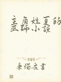 主角姓夏的都市巫师小说