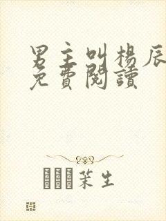 男主叫杨辰小说免费阅读