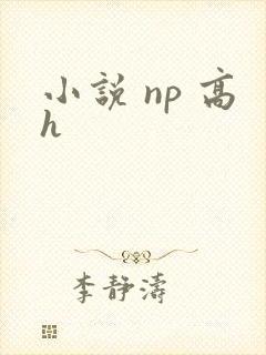 小说 np 高h