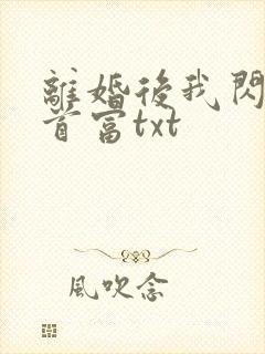 离婚后我闪嫁了首富txt
