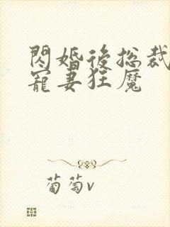 闪婚后总裁成了宠妻狂魔