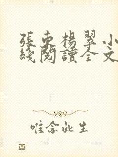 张东杨翠小说在线阅读全文