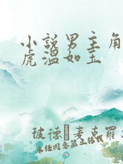 小说男主角贾二虎温如玉