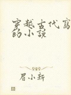 穿越古代写小说的小说