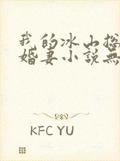 我的冰山总裁未婚妻小说无弹窗