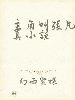 主角叫张凡的修真小说