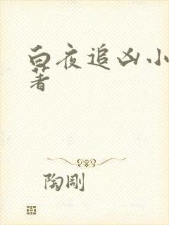 白夜追凶小说原著