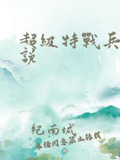 超级特战兵王小说