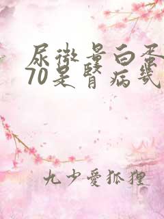 尿微量白蛋白370是肾病几期