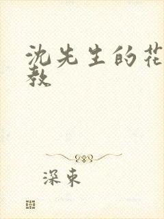 沈先生的花式管教