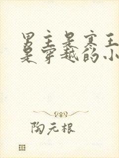 男主是寒王女主是穿越的小说