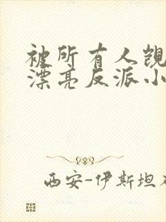 被所有人觊觎的漂亮反派小说推荐