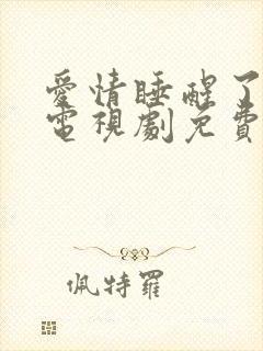 爱情睡醒了全集电视剧免费观看