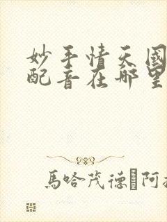 妙手情天国语版配音在哪里可以看