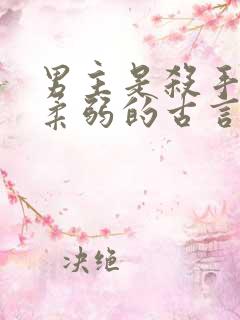 男主是杀手女主柔弱的古言