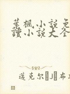 叶枫小说免费阅读小说大全