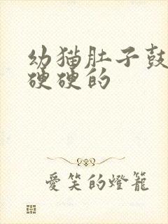 幼猫肚子鼓鼓的硬硬的